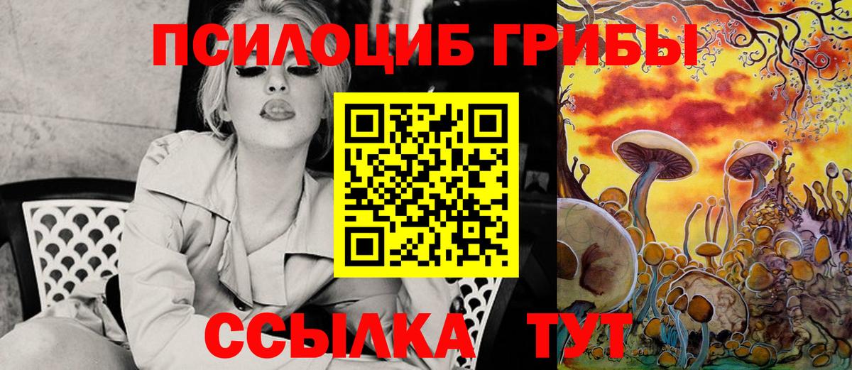 Галлюциногенные грибы Psilocybe  Вход с VPN  Долгопрудный 