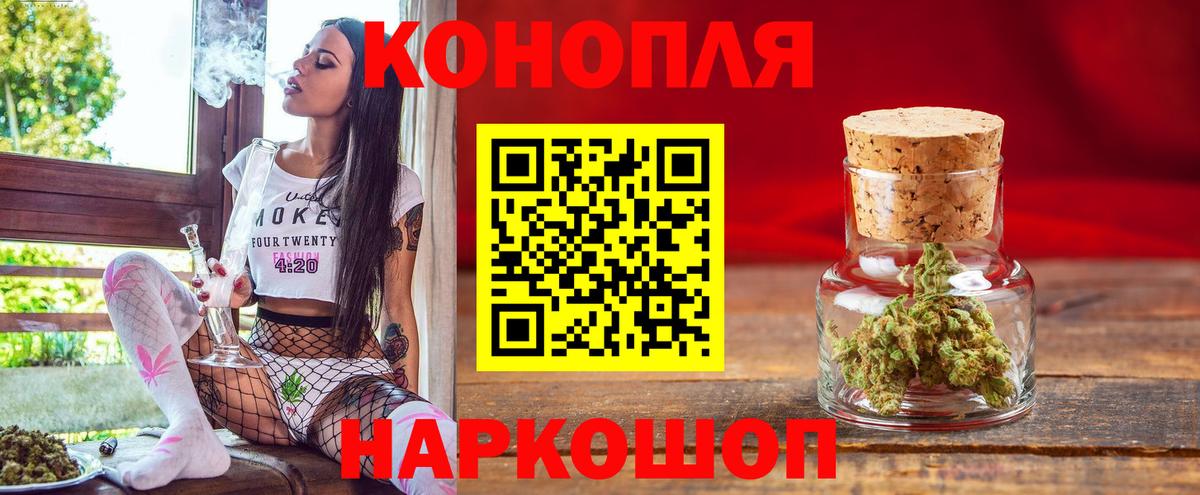 Бошки марихуана план  Канабис OG Kush  Долгопрудный  Вход с VPN 